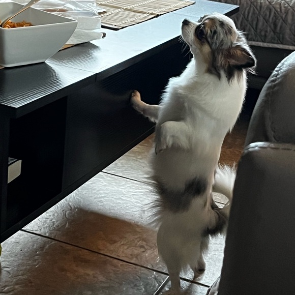 KMSCTE - Picture 9 of 14